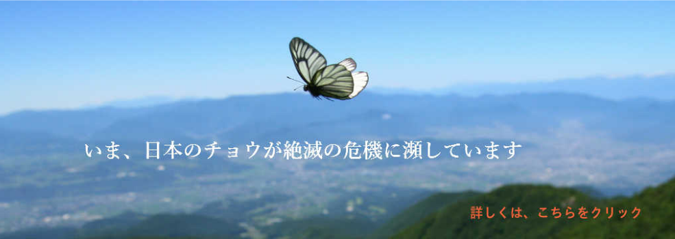 img20180909141330856424.png