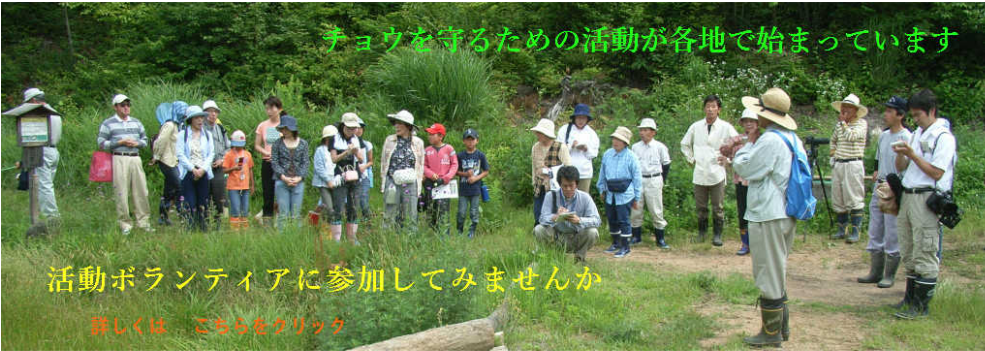 img20180909141336041178.png