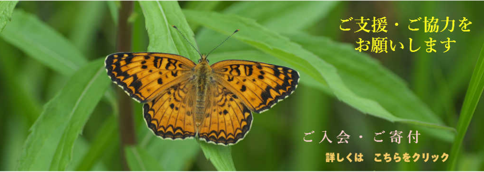 img20180909141343657336.png